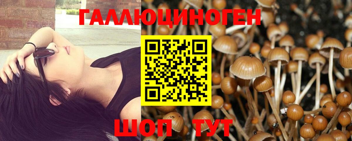 Галлюциногенные грибы GOLDEN TEACHER Донской